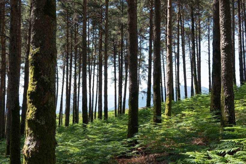 星座|恋爱中比较被动的星座