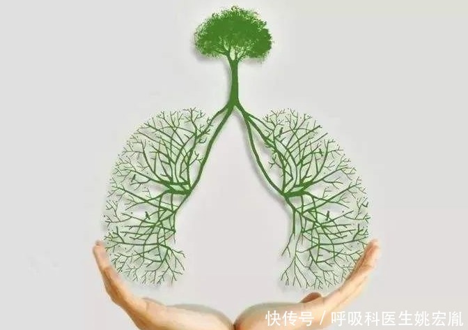 肺部|吃猪血并不清肺,真正养肺的食物有哪些