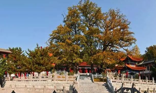 寺院|河南有一宝藏寺庙，海拔1000多米，历经好几百年沧桑，吸引超多人