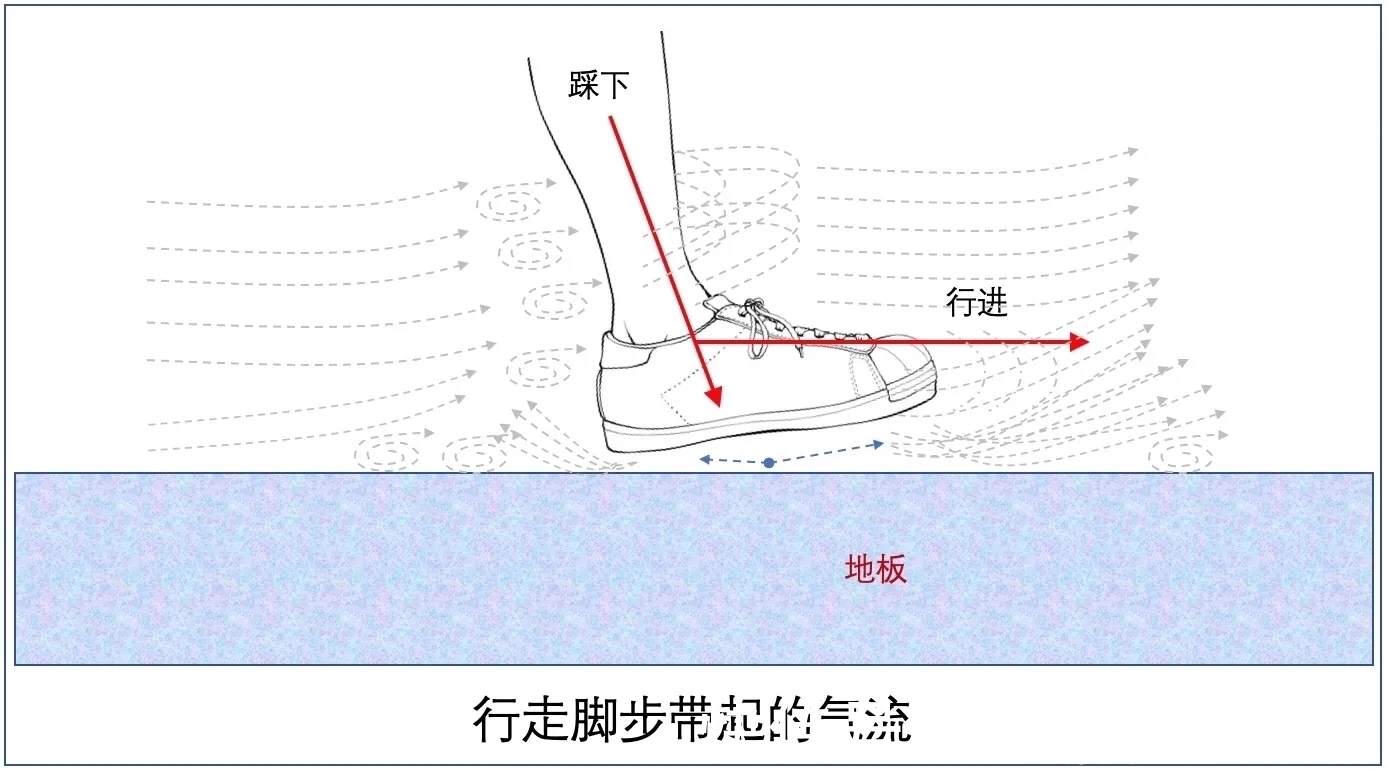 毛发|刚打扫完室内卫生，就又出现了尘絮，这些灰尘是怎么凭空出现的？