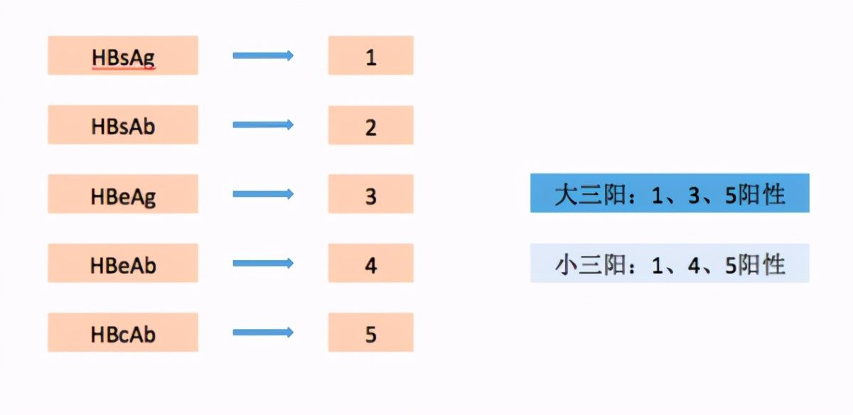 肝癌|小三阳只要DNA阳性，就要抗病毒？乙肝患者，请收下这封科普信