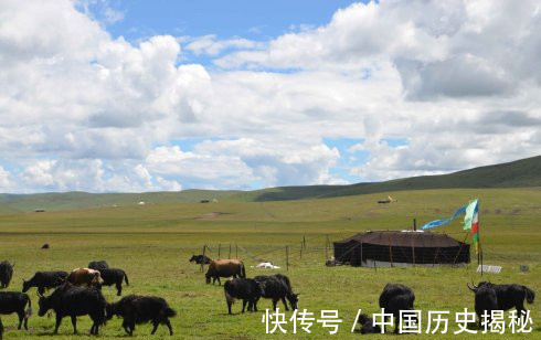 血液粘稠度|甲状腺不好,多喝牛奶?医生:若想甲功稳定,3种食物少碰