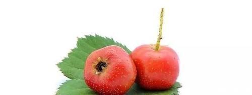 山楂|怀孕六个月的孕妈能吃鸡爪吗?为了胎儿健康,这些食物最好别吃