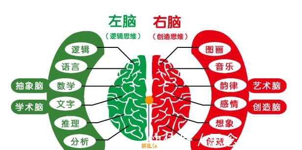 智商|斯坦福大学发现：这个血型的妈妈，生出的娃智商更胜一筹