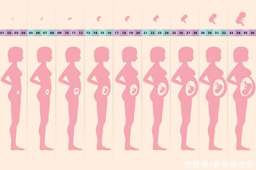 月经|生理期不准的女性,如何算“怀孕天数”?很多孕妈都搞不清楚