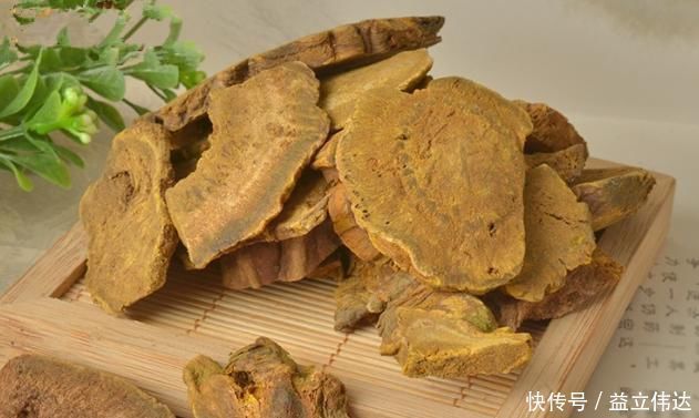 食积|一味被人严重低估其价值的良药，服之可促代谢、运脾胃、除湿气