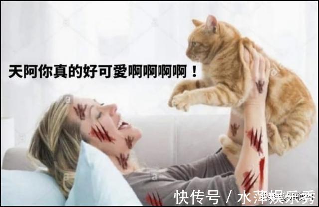梗图|梗图合集:史塔克先生,这太酷了,而且我很舒服