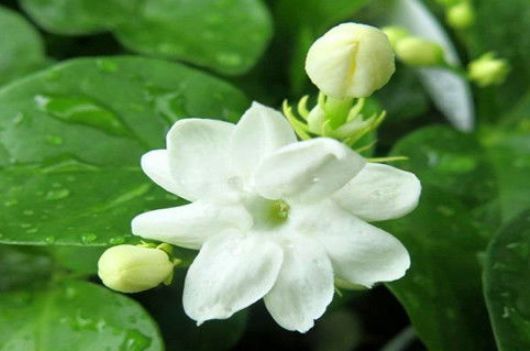 美容养颜|超市很常见的3种食物，美容养颜、延缓衰老，好处多多！