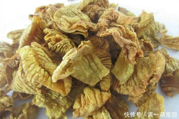 石头|鸡内金堪称一两金,连石头都能消化,人吃了会发生什么结果