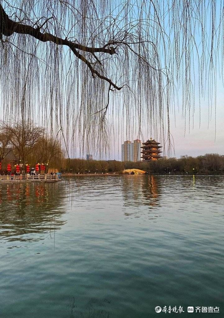 赏梅|就地过年春在身边|节日气氛喜洋洋!济南大明湖赏春游园走起