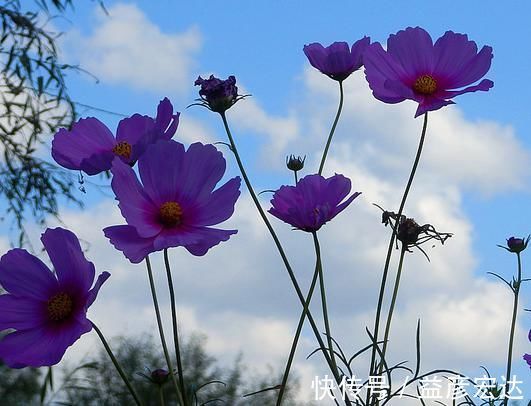 富贵|12月18日开始，5属相福气进门，事业一帆风顺，生活越来越好