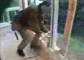 |搞笑GIF:姜还是老的辣啊,看看人家这下手真是稳准狠