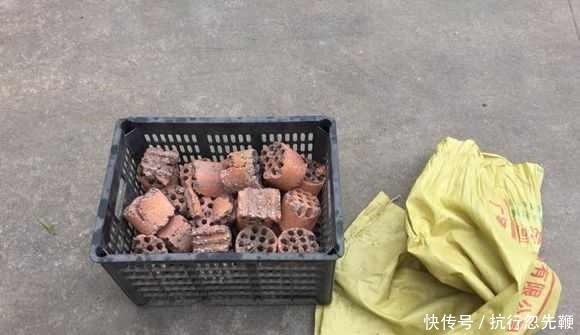 为了养兰花,这哥们儿下了大招了