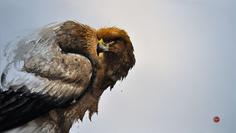 水彩艺@水彩艺术家卡尔·马尔滕斯画的鸟,惟妙惟肖!