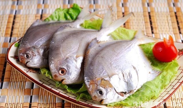 中国|中国有什么好吃的海鱼老渔民推荐您这6种,味道鲜美,物美价廉