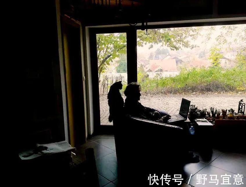 nova$专画“不正经”国画的老外,竟被10万人狂热追捧,看完作品立马佩服不已~