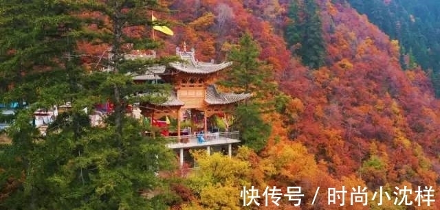 秋景|秋景美如画 榆中兴隆山等您来！