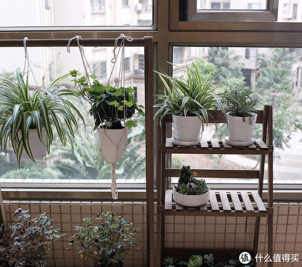 夫妻|这对夫妻太有远见，把次卧和客厅打通，清爽开阔，日子过得简单舒适