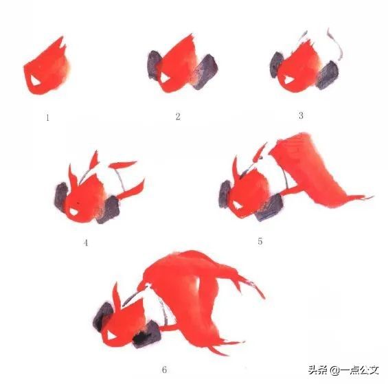 曙红|写意金鱼的画法解析