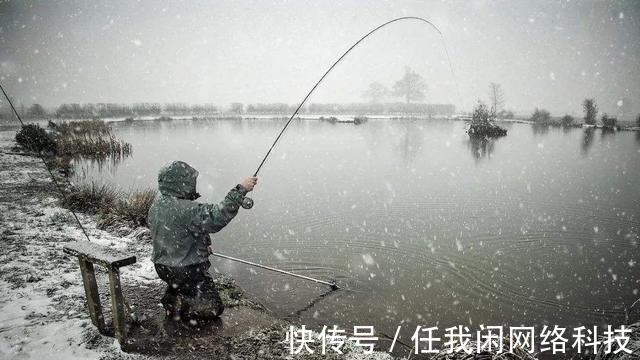 隔夜窝|为何夏季钓鲫鱼又少又小，到了冬季又大又多难道是鱼挑食