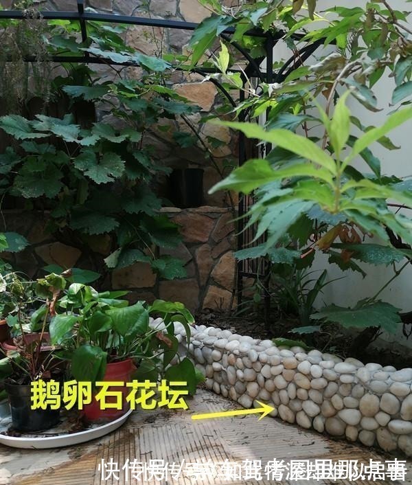 水泥|破旧一楼院子摇身一变精致花园!鹅卵石粘的花坛鱼池,完全看不腻!