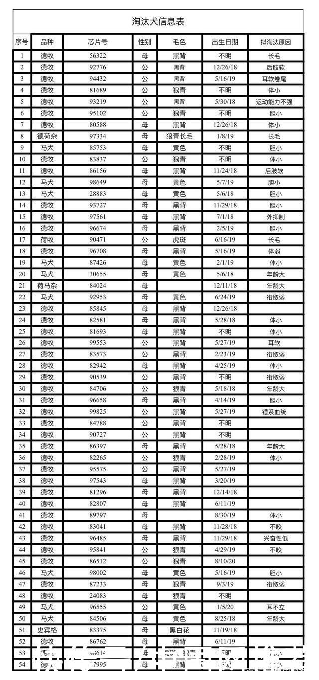 史宾格|中国刑警学院竞售54只淘汰犬，不到半天被火速抢光!最高价33万元