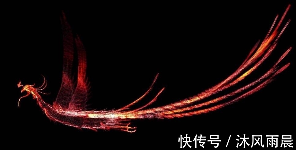 十大神鸟#上古神话中十大神鸟分别是哪些?我们熟悉的精卫便是其中之一