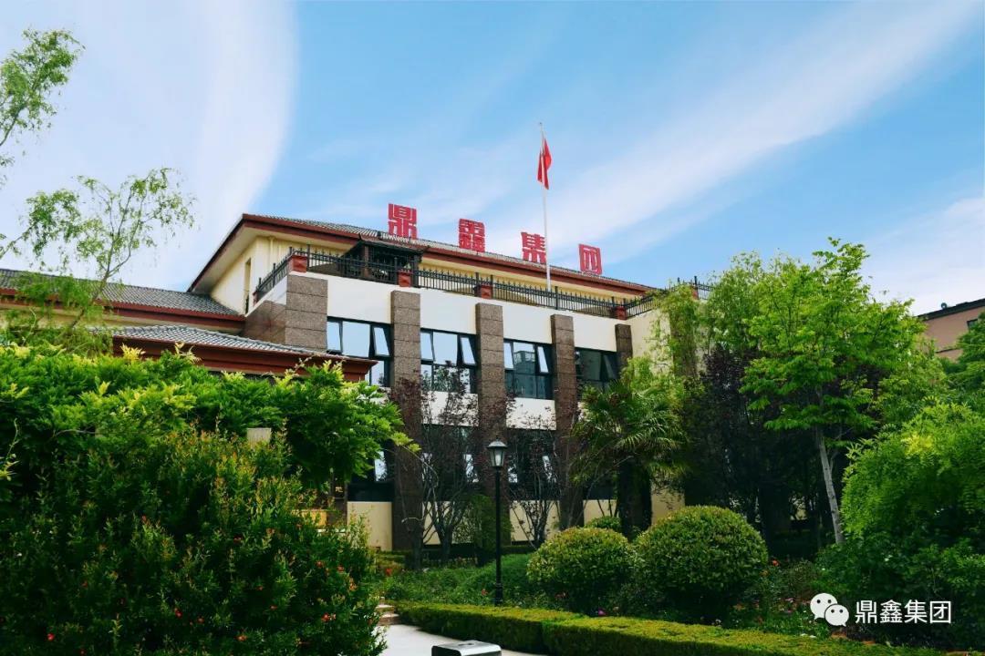 鼎鑫华府项目的底气来自这10大优势!|楼盘揭秘 | 文化大观园
