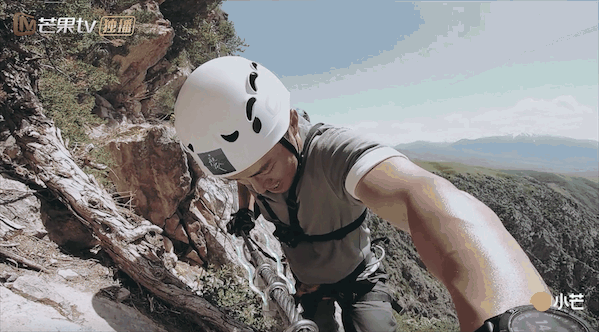 离婚|至于要把两人骂到退出节目吗?