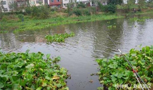 水层|夏天钓鱼,需要掌握的5条规律,抓规律是连竿上鱼的关键