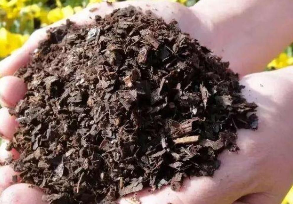 旧花土不要扔,简单处理,掺上几种料,又成很好的“营养土”