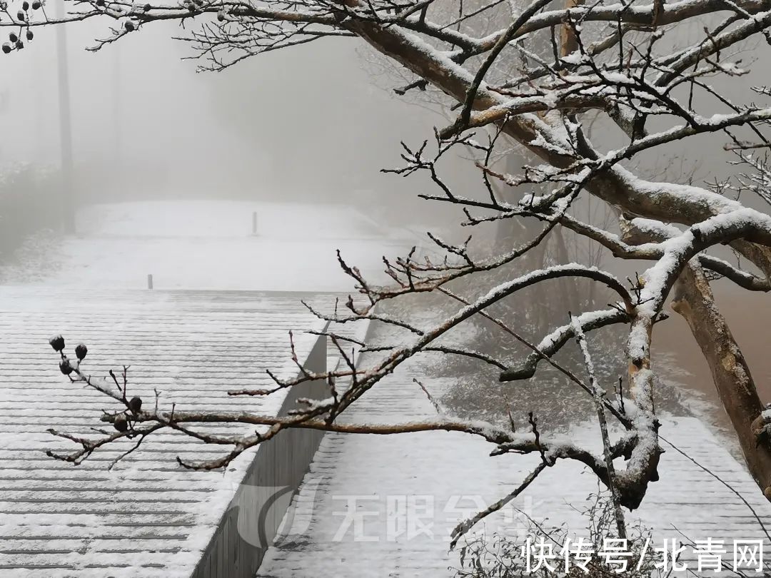 临安|浙江多地下雪！一地积雪厚度达3公分……