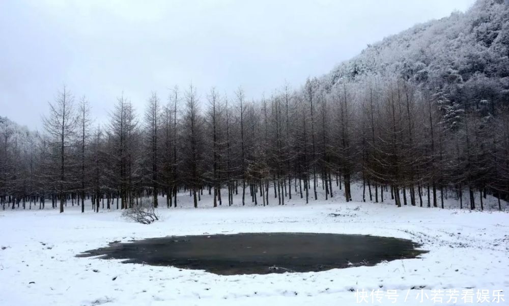 雪天|一到雪天，李家就美成了壁纸！