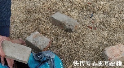 深蹲|小伙练腿每天做100个深蹲,并逐渐增加训练难度,1个月看腿部变化