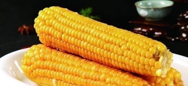 玉米能不能代替主食经常有人吃玉米减肥,每天吃对身体是好是坏