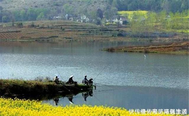 野钓中的绝佳钓位,钓鱼人的必争之地,随便选哪个,渔获都有保证