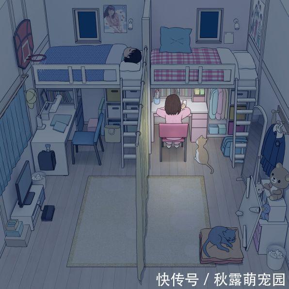 室内门|越来越多二胎家庭都不做上下铺了!书架当隔断,一儿一女一人一间