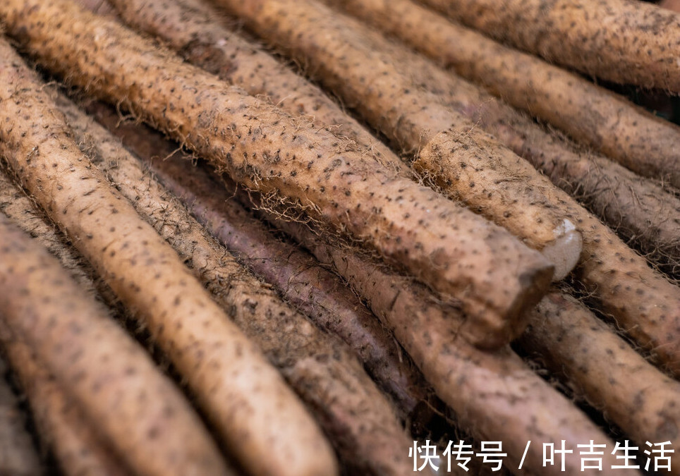 山药泥|买山药，选粗的还是细的内行人教你3招，轻松买到优质山药