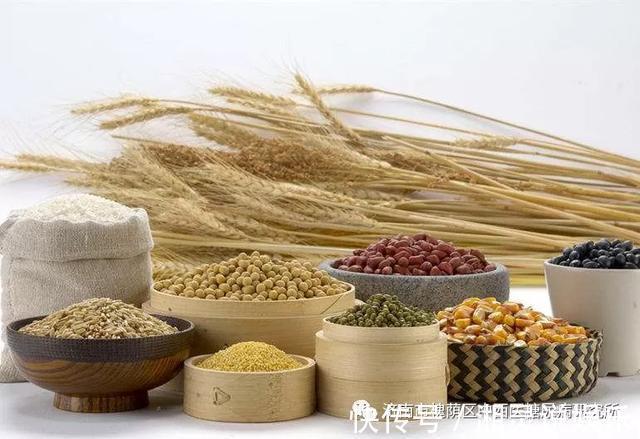 早餐|糖尿病人早餐决定了一天的血糖好坏,吃什么好呢