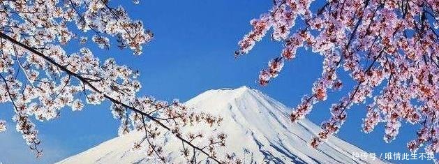 用自己|日本最奇葩的三个姓氏,这些姓氏的人,网友听起来像骂人!