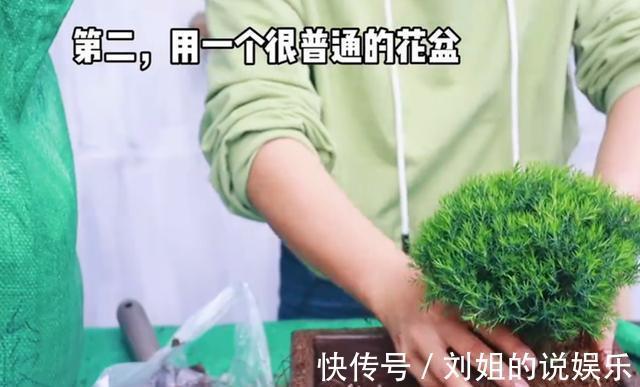 没人要的花,变身百元不换的盆景,简单三步搞定