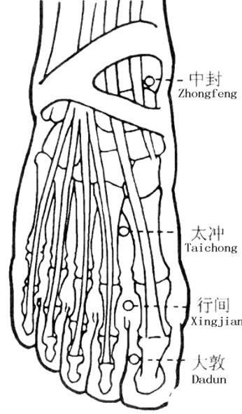 双语版24节气|【顺时而生】立春了！| 双语版