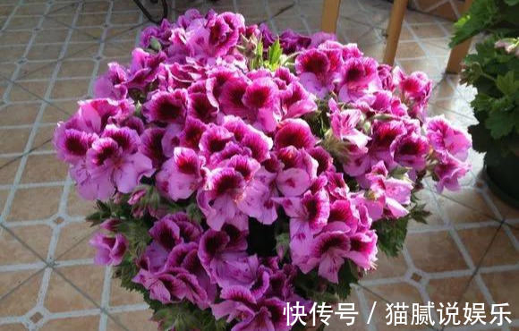 这9种花园，随便1个都美上天了，有一种这辈子就满足了！