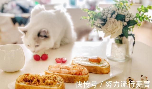 早餐吃一份开放式法棍,外脆里软,越嚼越香!