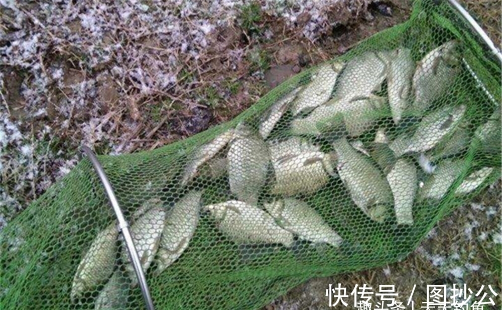 障碍物|冬季钓鱼,这4钓点钓鱼人必争,都是天然鱼窝子,这里大鲫扎堆