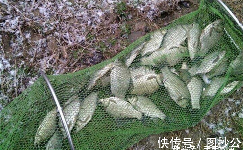 障碍物|冬季钓鱼，这4钓点钓鱼人必争，都是天然鱼窝子，这里大鲫扎堆