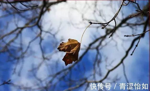 谦虚$悟透老子这三条金玉良言,往往能大大提升你的处世段位