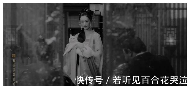 幼薇!《雪中悍刀行》原著:同样是刺杀,徐凤年为何放过鱼幼薇和姜泥?