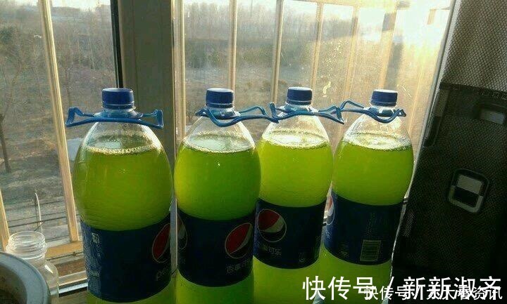 养花|养花浇了“夺命水”,难怪烂根、黄叶,2种水“千万”别乱用