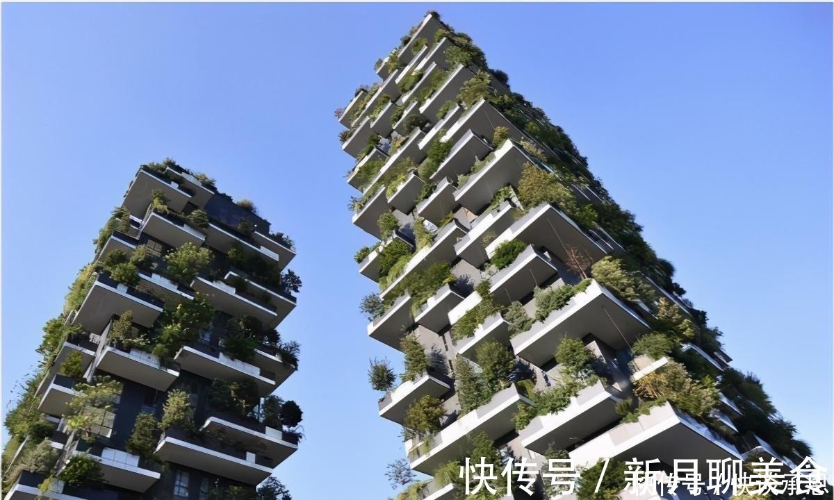 建筑研究院|被誉为“第五大发明”的新式住房,会淘汰电梯房?内行人给出答案